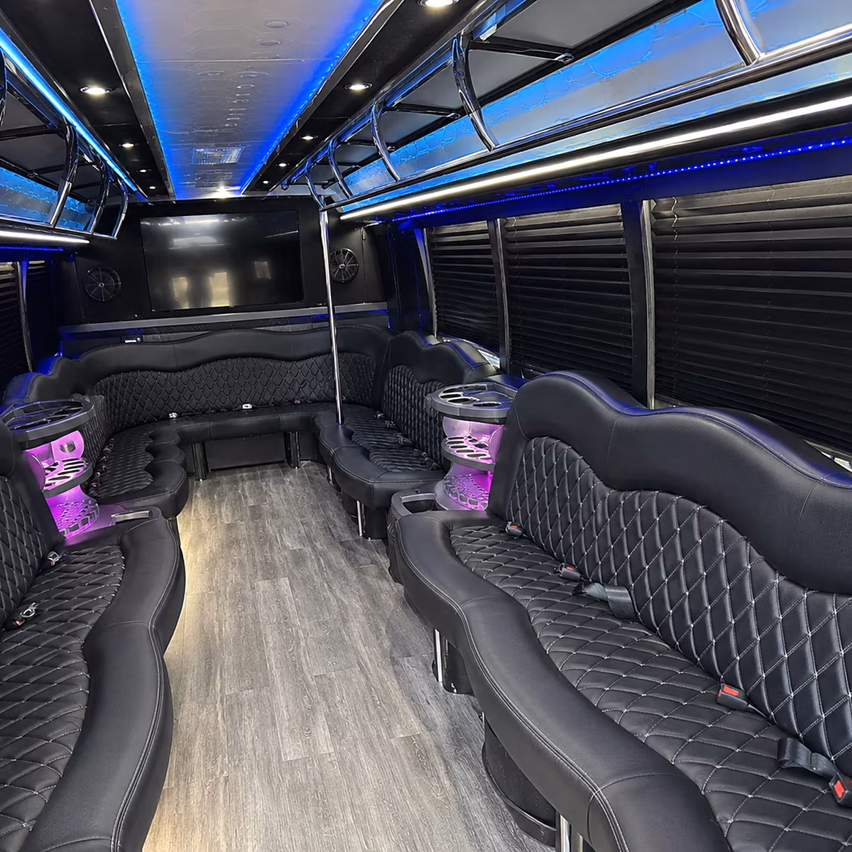 30 Passenger Party Bus Interior